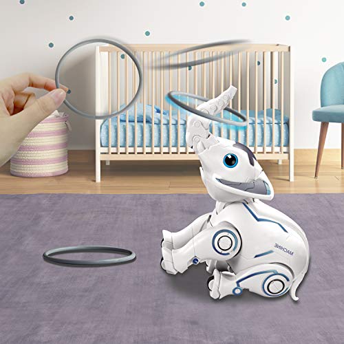 DX DA XIN Remote Control Robot Toy, Interactive Wireless Animal Dancing