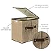 LightBiz Household Decorative Collapsible Jute Storage Box Drawer with Lids, 2 Pack, Khaki