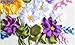 Wandafull Ribbon embroidery Kit Handmade Flower(No frame)