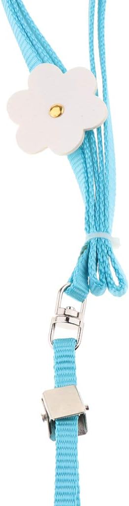 walk r cise harness small