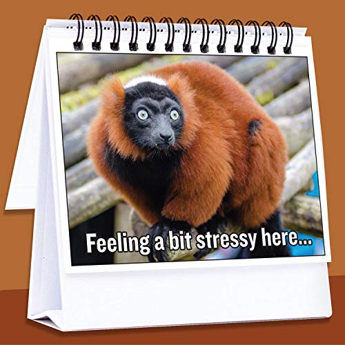 6 Coworkers+Hilarious+Accessories+Everyone+Business