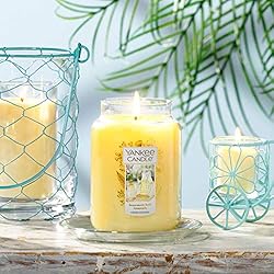 Yankee Candle Homemade Herb Lemonade