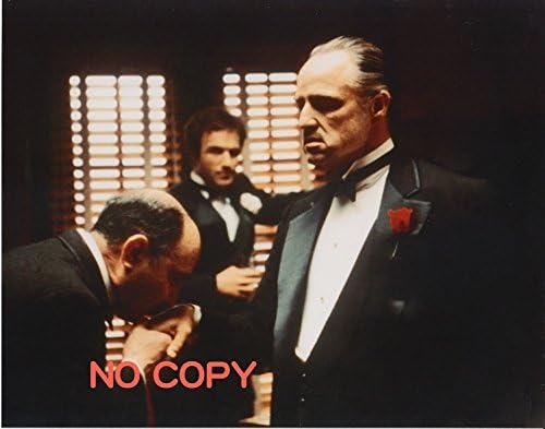 "The Godfather" Marlon Brando , Photo 8x10,#1349