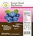 Legacy Essentials Freeze Dried Blueberries - 15 Year Shelf Life for Emergency Survival Food Storage Supply - Great Fruit Snack (Quantity 1)