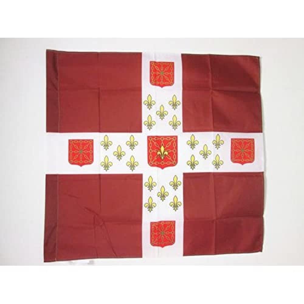 AZ FLAG - French Empire Infantry Regiment Navarre 1558-1793 Flag - 3x3 Ft - 100% Polyester Army of France Banner with Sleeve - Fade Resistant - Vivid Colors - 3' x 3' Feet - 90x90 Cm