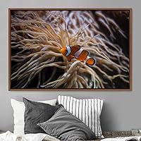 Framed Canvas Wall Art Clownfish Colorful Fish Group Marine Life Multicolor Nautical Photography Realism Ultra - 16x24 inches