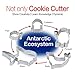 Not Only Cookie Cutters~Interact and Learn knowledge~Antarctic Rcosystem Sea Animals - Multi-purpose Food Grade Stainless Steel Marine Life Shape Biscuit Sandwich Fruit Bread Cutters - YookeeHome