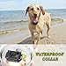 Petrainer Upgraded Model Rechargeable & Waterproof Remote Dog Training Collar 330 yd Electric Dog Bark Collar with Beep/Vibration/Shock Collar for Dogs