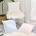 Home Brilliant Ultra Soft Velvet Solid Decorative Throw Pillowcase Cover Euro Sham for Baby Sofa Living Room, 60 x 60cm(24 inches), White
