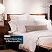 Cosy House Collection Everyday 1500 Series Pillowcases - Bedroom Essentials - Luxury Hotel Quality - Silky Soft & Smooth - Gentle & Skin Friendly - Set of 2 (Standard, Cream)