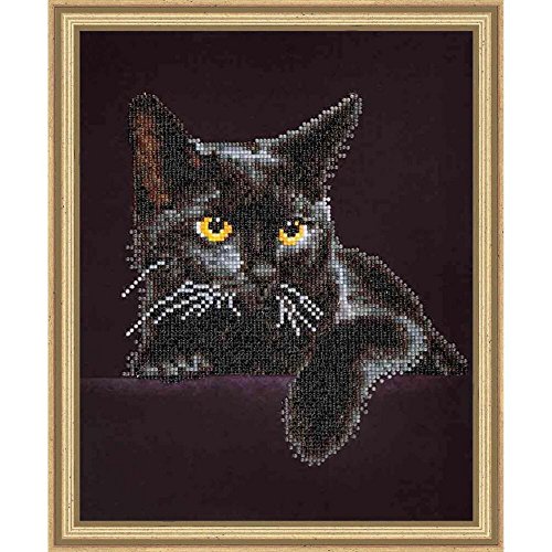 Diamond Dotz Intermediate Kit Midnight Cat - Diamond Embroidery Painting by Numbers (DD5.001)