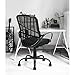 GreenForest Office Chair for Computer Desk Mesh Mid-Back Swivel Task Chair with Special Design Back,Black
