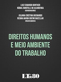 Livro Direitos Humanos e Meio Ambiente do Trabalho