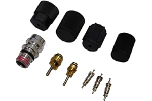 GLOBAL PARTS DISTRIBUTORS gpd 1311572 A/C System Valve Core and Cap Kit