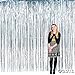 ZagGit Set of 2 Metallic Silver Foil Fringe Party Decoration Door Curtains, 3 x 8 Feet