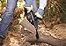 REMINGTON Electric Corded 2-in-1 Chainsaw and Pole Saw for Tree Trimming, 10-inch, 10-foot Telescoping Pole (RM1025SPS)