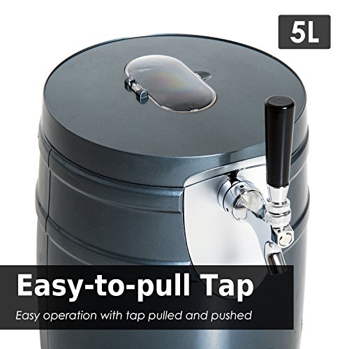 5 Liter Kegs Beer Dispenser Electric Beer Cooling Machine Home