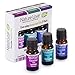 Nature Love Harmonious 100% Pure Well-Being Everyday Essential Oils 3 Pack (3/.34 Oz. Bottles)