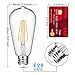 Vintage LED Edison Bulb Dimmable 6W 4000K Neutral White 660 Lumen Led Filament Light Bulb 60W Incandescent Equivalent ST64 E26 Medium Base Decorative Antique Bulb for Bathroom Kitchen Garage, 4 Pack