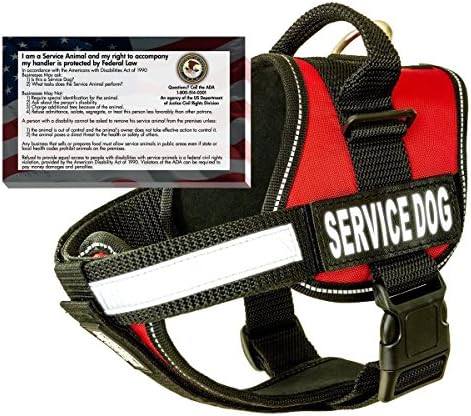 barkOutfitters Service Dog Vest Harness + 50 ADA Info Cards Kit (Red, XL (30" - 39" Girth))