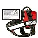 barkOutfitters Dog Vest Harness with 50 ADA Cards Kit, (22