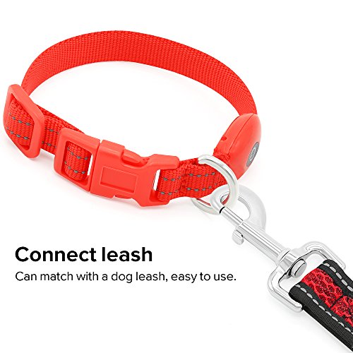 LED Cat Dog Necklace Collar, USB Rechargeable with Water Resistant Flashing Light, Makes Your Small Breed Puppy High Visible in Dark and Night (XS, Red) - Thumbnail 5