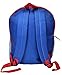 Wonder Woman 16 Backpack Cargo Pockets DC Comics Bag