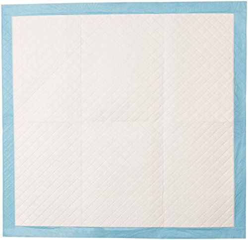 3 AmazonBasics+Heavy+Training+Regular+80+Count