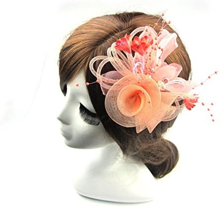 Fen Fun Net Chiffon Crystal Beads Fascinator Headwear Flower Corsage Hair Clip Pin Brooch For Women Wedding Party (Water Pink)