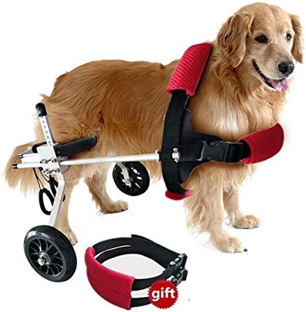 犬用車椅子2つの車輪の調節可能なペット車椅子 後肢リハビリテーション障害の