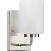 Progress Lighting Merry Collection 1-Light Brushed Nickel Etched Glass Transitional Bath Vanity Light