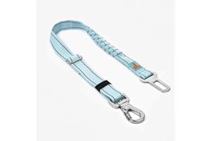 DOG FRIENDLY CO DF Co. Dog Seat Belt | Safe and Comfortable Dog Transportation | Adjustable Length, Anti-Shock Bungee, Universal Heavy Duty Clips | Sky Blue