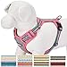 Blueberry Pet 9 Colors Soft & Comfy 3M Reflective Multi-Colored Stripe Mesh Padded No Pull Dog Harness Vest with Back Leash Clips, Small, Pink, Emerald & Orchid
