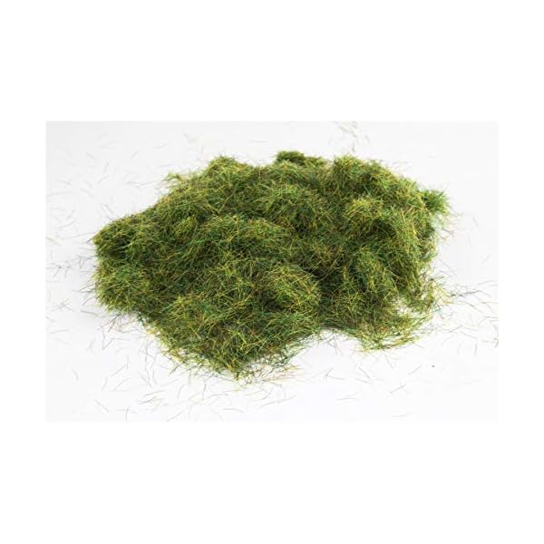 WWScenics | 6mm Sommer Statische Grasfasern | 1000ml | WSG6-018 | Streugras für Modellbahn und Modellbau – Bild 5