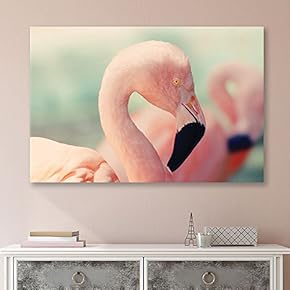 Head of Pink Flamingoes