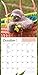 Sloths Wall Calendar 2018