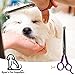 Ryans Pet Supplies Professional Dog Grooming Scissors from, Two Pairs Stainless Steel Scissor Kit, Thinning Shears for Dogs & Pets, 1X Straight Shear for Body & 1X Curved Shear for Face & Paws