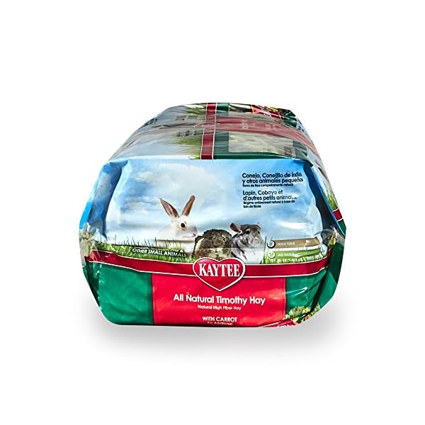 kaytee timothy hay plus variety pack