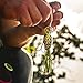 Arbogast Hula Popper Topwater Fishing Lure