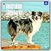Australian Shepherds 2017 Square (Multilingual Edition)