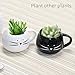Teagas Organic Cat Grass Kit with Black and White Cat Grass Planters, Organic Soil, Natural Hairball Control and Hairball Remedy for Cats