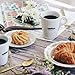 Lavazza Gran Filtro Ground Coffee Blend, Medium Roast, 8-Ounce Bricks (Pack of 5)