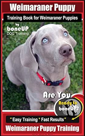how to potty train a weimaraner puppy