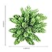Supla 2 Bushes 7 inch Artificial Hops Artificial Shrubs Artificial Succulent Faux Succulents Faux Pinecone Plastic Succulents, 6 Stems Bush