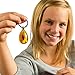 Polish Real Amber in Search of Ancient Insects!