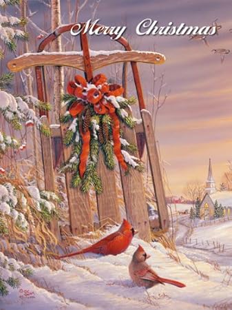 Lang Wintertime Cardinal Boxed Christmas Cards Artwork By Sam Timm 18 Cards 19 Envelopes 5 375 X 6 875 Amazon In Office Products Amazon Prime Boxed Christmas Cards