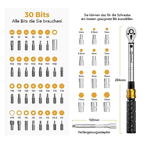 Torque Wrench Bicycle 5-25 Nm, VIGRUE Torque Wrench 1/4 Inch, ±4% Accuracy, Torque Wrench Set with Ratchet, Extension Rod, Universal Joint, Spark Plug Sleeve, Bits for Motorcycle, Car