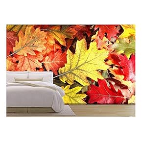 Colorful Oak Autumn Tree Leaves Background. - Removable Wall Mural | Self-Adhesive Large Wallpaper - 66x96 inches