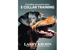Everything you need to know about E Collar Training