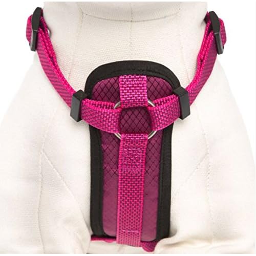 Large Blue Kong Comfort Padded Chest Plate Dog Harness Offered